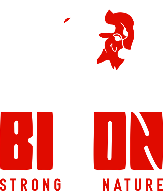 BISON